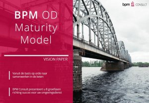 Vision Paper OD Maturity Model